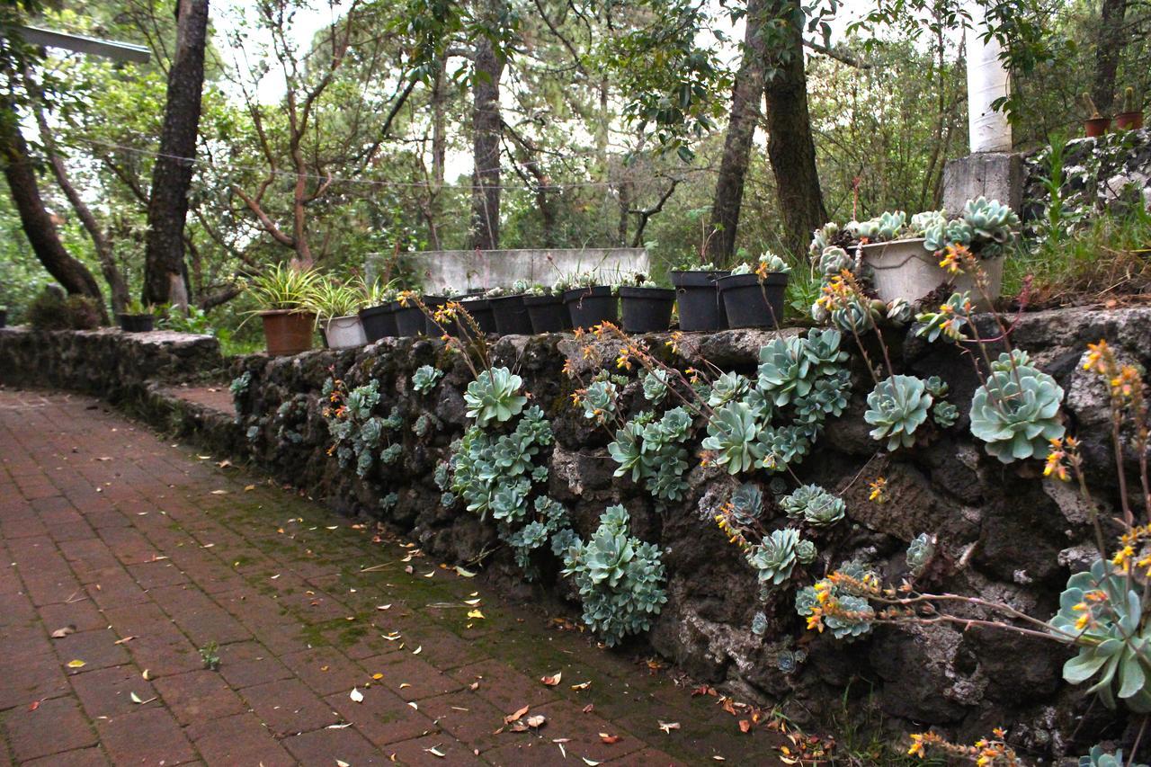 Cabana Espacio De Oyamel * Mexico-stad
